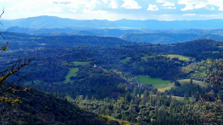 Zdjęcie Krajobraz natura las pustynia
