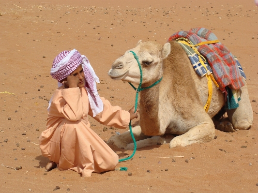 Landscape nature sand desert Photo