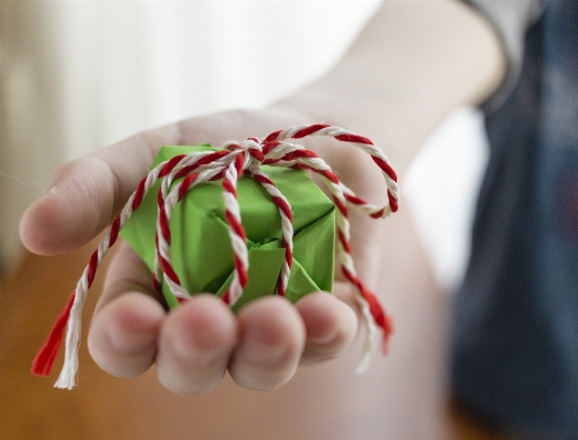 Foto Tangan bunga daun hadiah