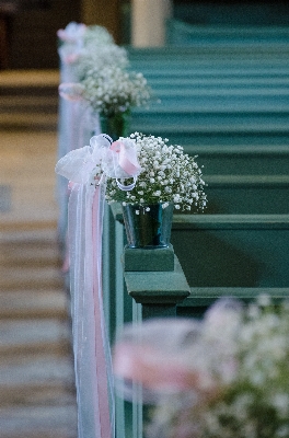 Plant white flower love Photo