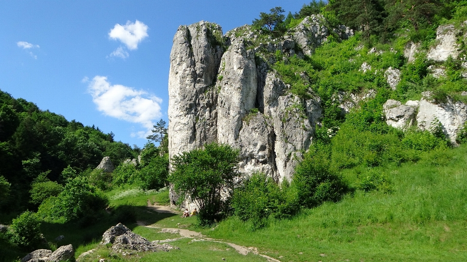 Paysage nature rock montagne