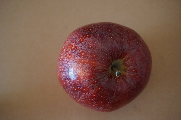 Apple plant fruit food Photo