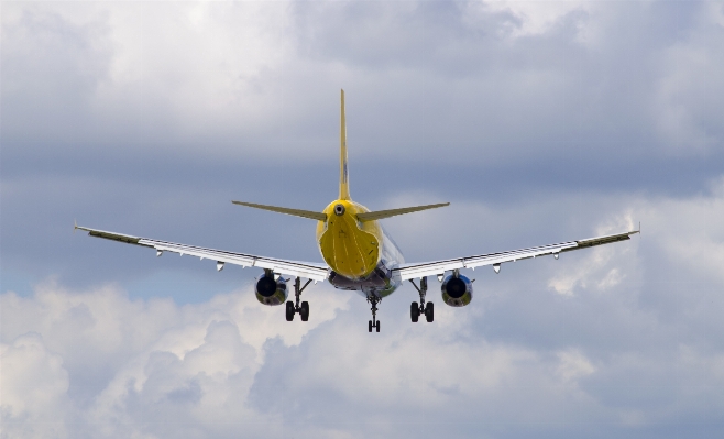 羽 空 意見 飛行 写真