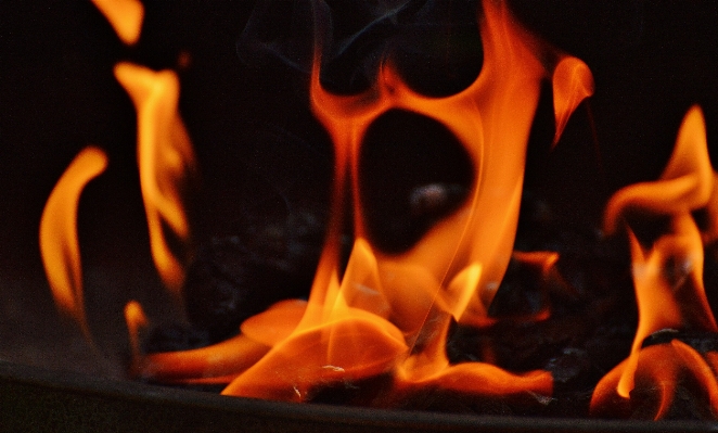 Glowing wood flower flame Photo