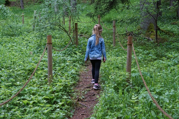 Nature forest walking girl Photo