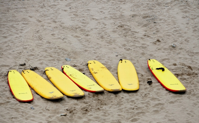 Beach sea coast water Photo