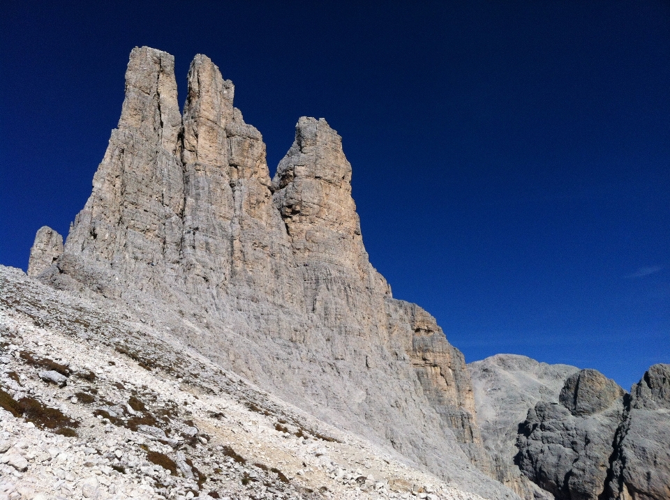 Lavoro paesaggio albero natura