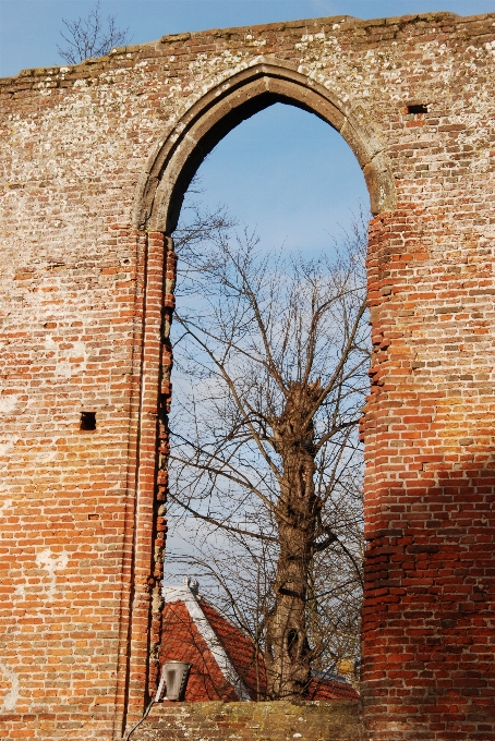 Albero rock architettura legna