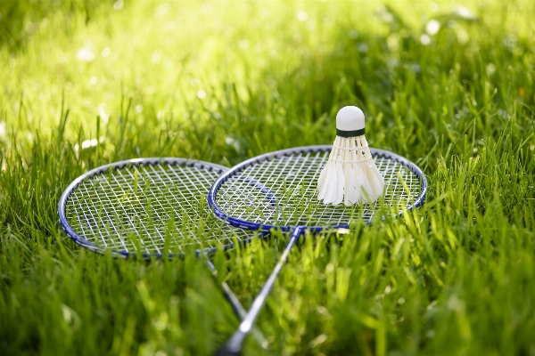 Grass sport lawn meadow Photo