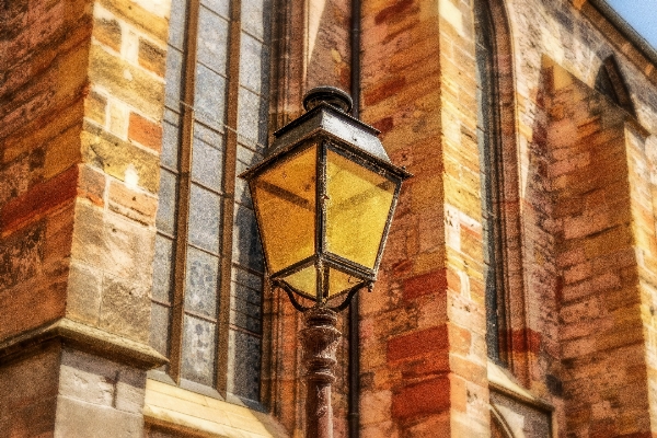 ライト 建築 木 道 写真