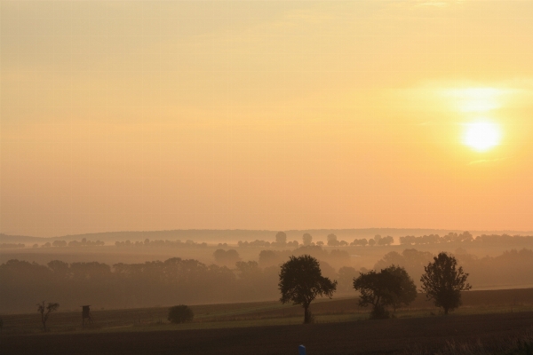 Landscape horizon sun sunrise Photo