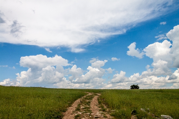 Landscape nature grass horizon Photo