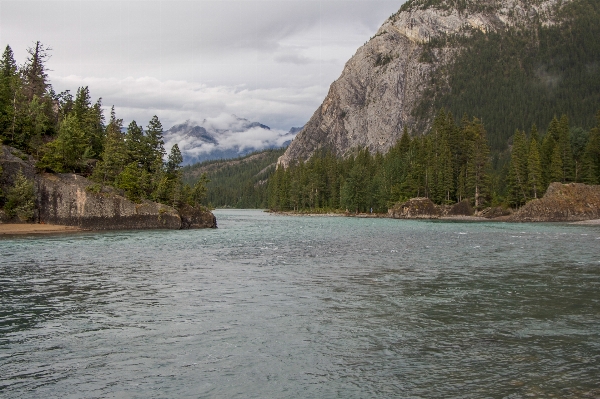 Landscape tree water nature Photo