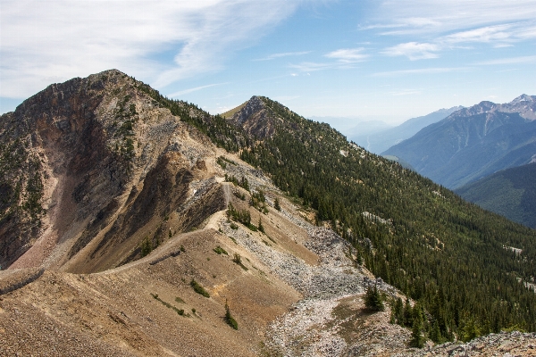 Landscape nature forest wilderness Photo