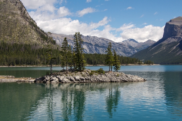 Landscape tree water nature Photo