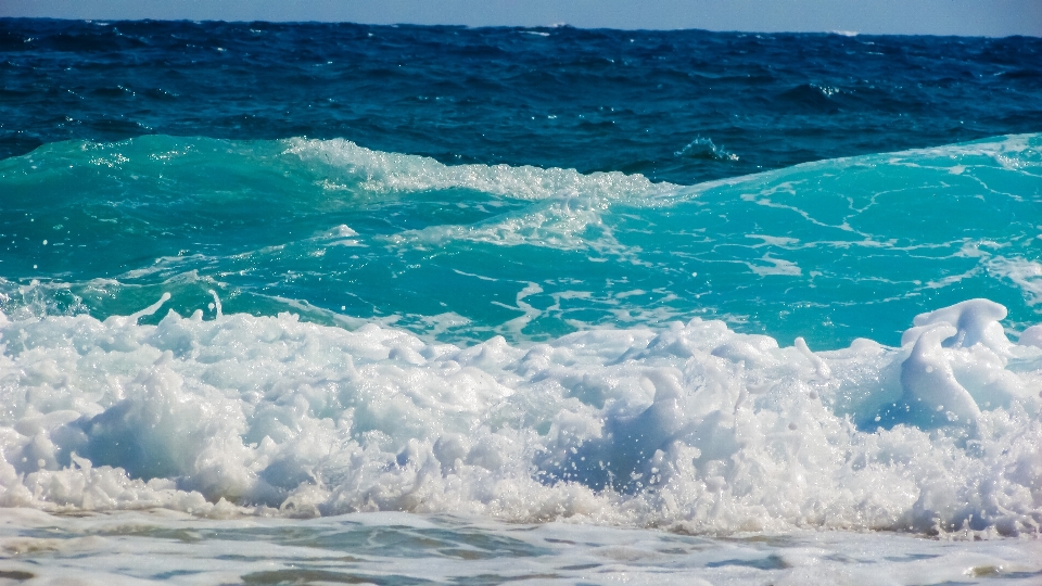 海 海岸 水 海洋