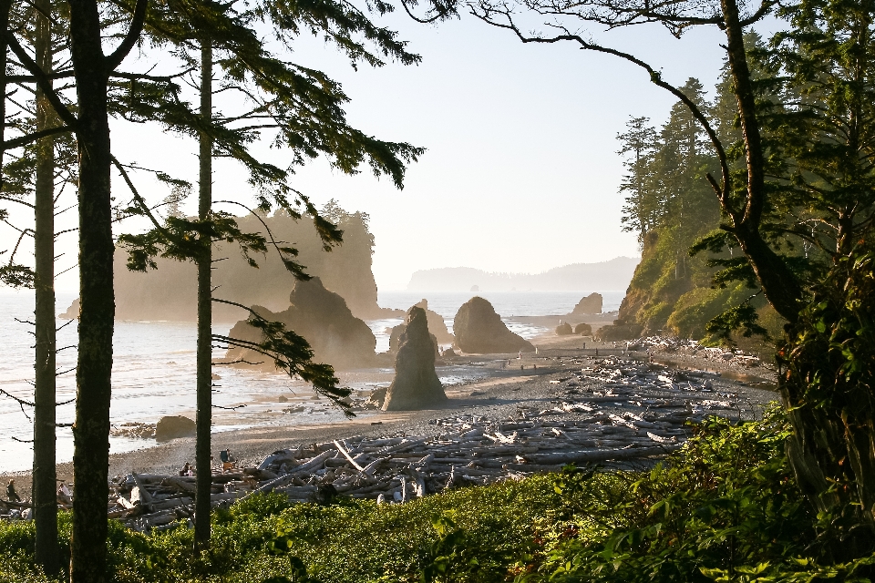 ビーチ 風景 海 海岸