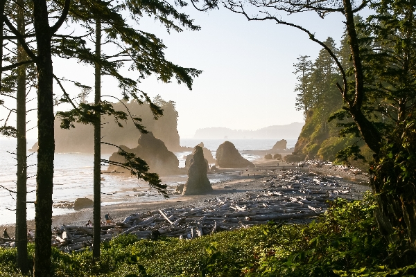 Beach landscape sea coast Photo