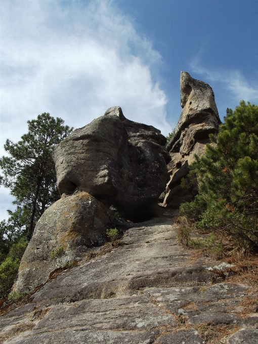 나무 rock 산 건축학