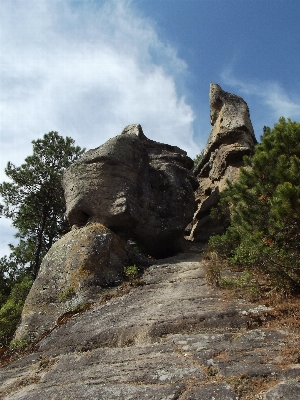 Tree rock mountain architecture Photo