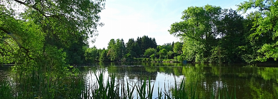 Paisagem árvore água natureza