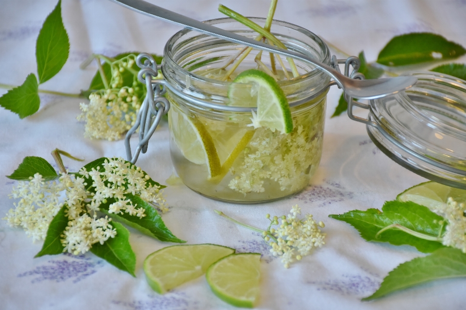 água plantar fruta vidro