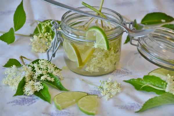 Foto Acqua pianta frutta bicchiere