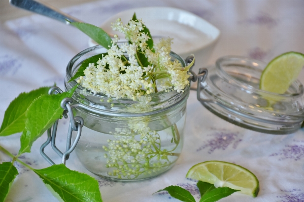 Foto Acqua pianta frutta bicchiere