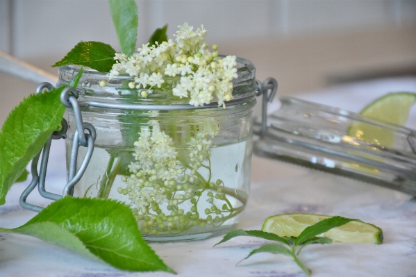 Foto Acqua pianta fiore bicchiere