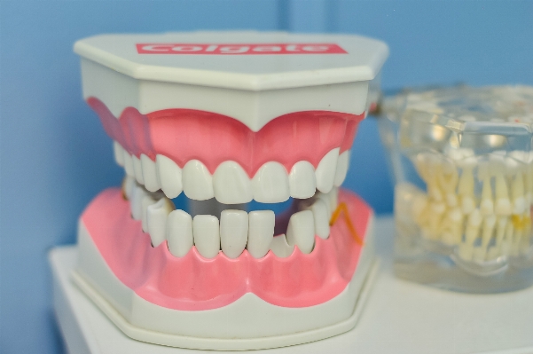 Mouth dentist human body product Photo