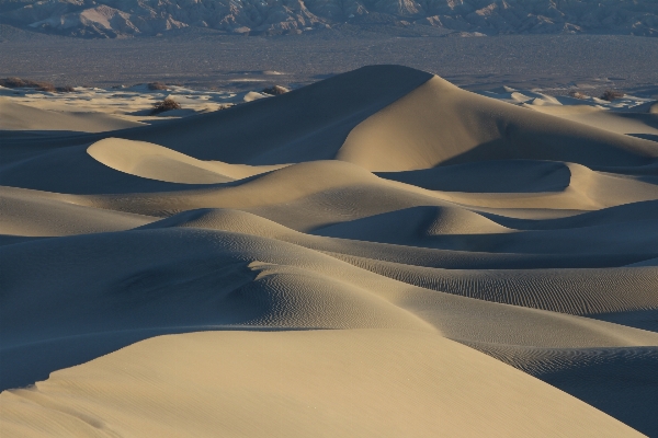 Landscape nature sand wilderness Photo