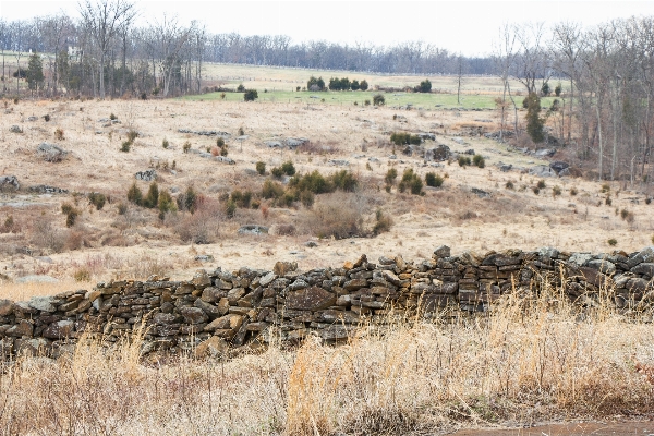 Fence monument military soldier Photo