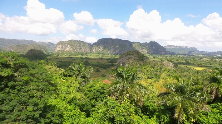 Landscape nature forest mountain Photo