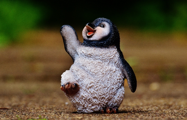 Foto Uccello dolce animale carino