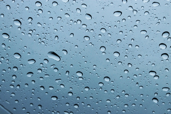 水 落とす 黒と白
 雨 写真