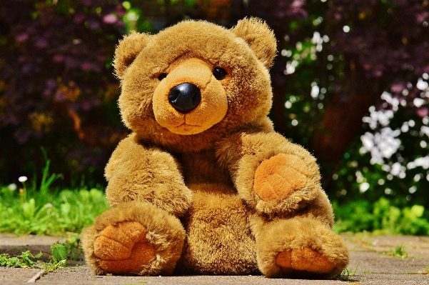 Sweet cute bear toy Photo