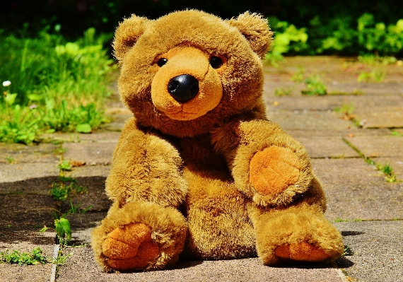 Sweet cute bear toy Photo