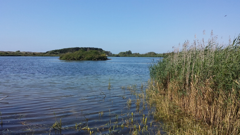 Morze wybrzeże bagno
 brzeg