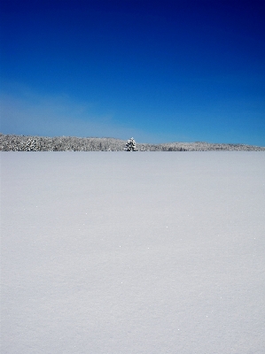 ビーチ 風景 海 海岸 写真