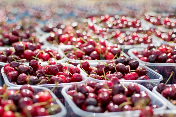 Plant fruit berry ripe Photo