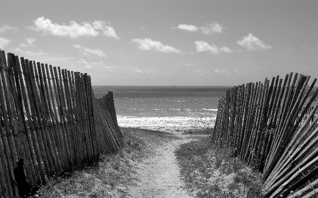 ビーチ 海 海岸 砂 写真