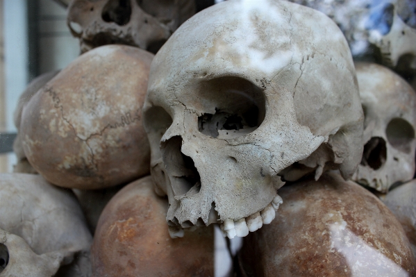 Human dead death skull Photo