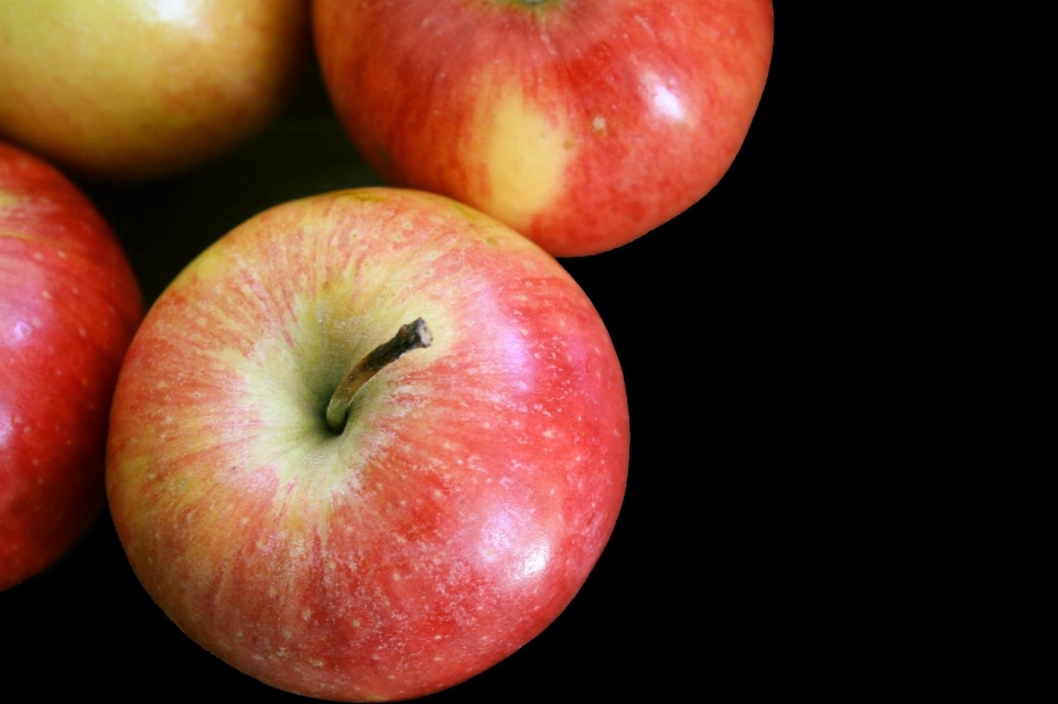 Apple tanaman buah basah