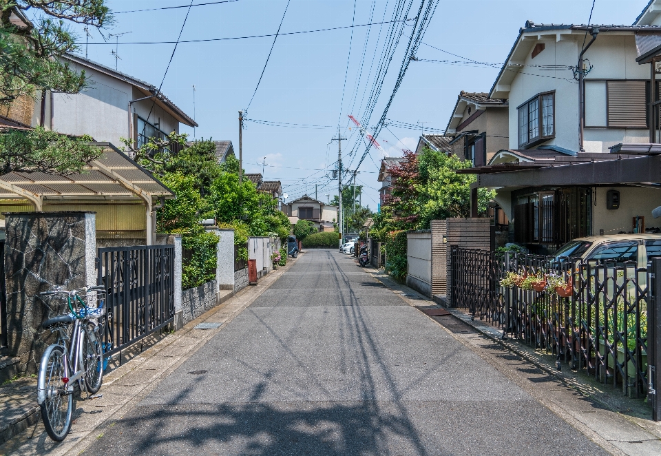 アウトドア 太陽 追跡 道