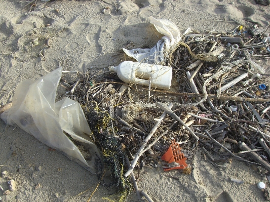 Beach sea plastic environment Photo