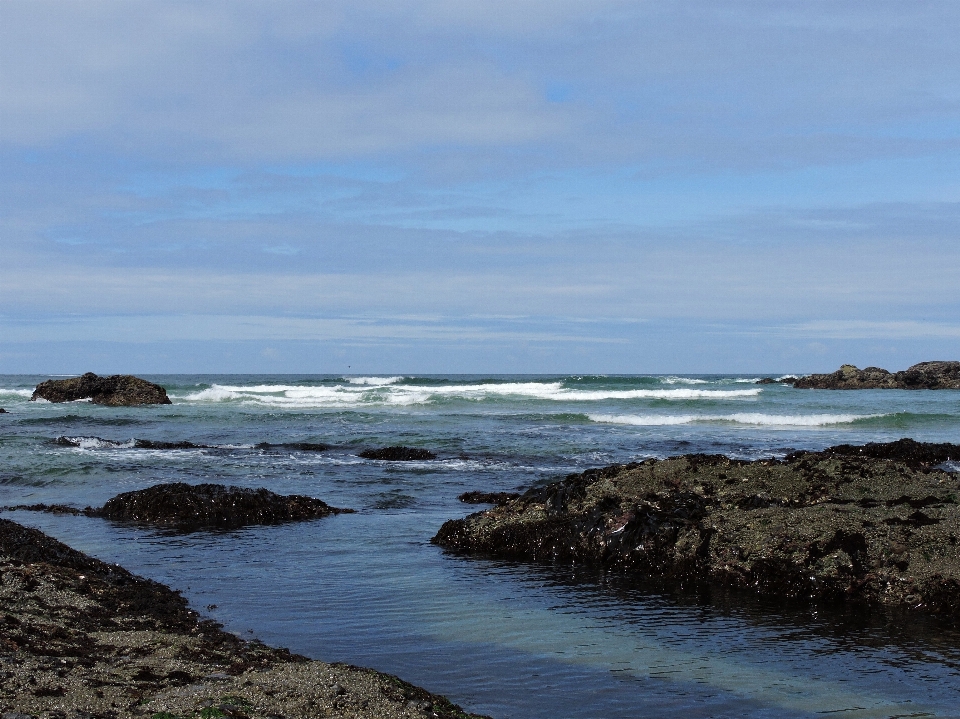 Beach sea coast water