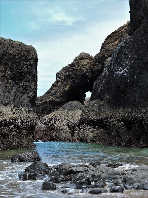 Beach landscape sea coast Photo