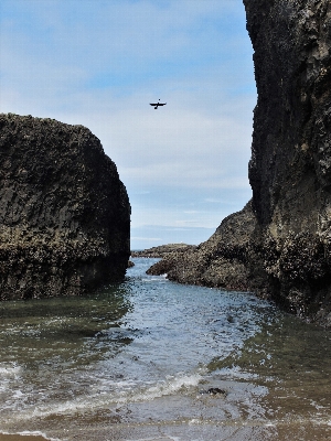 Beach landscape sea coast Photo