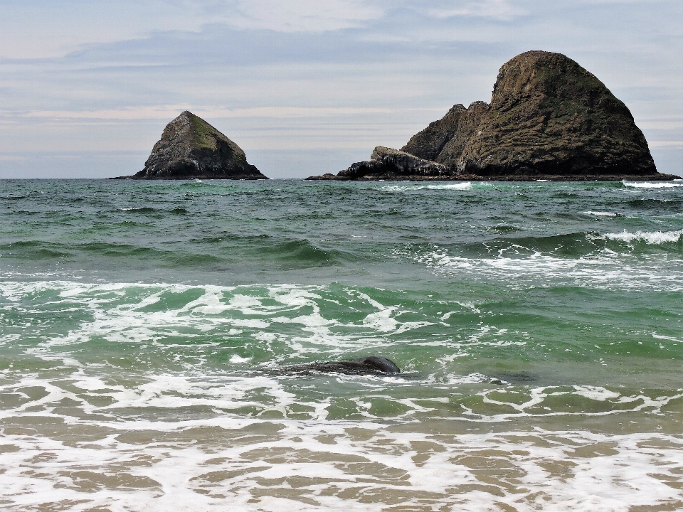 Praia mar costa água