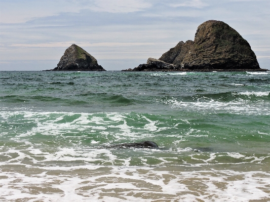 Beach sea coast water Photo